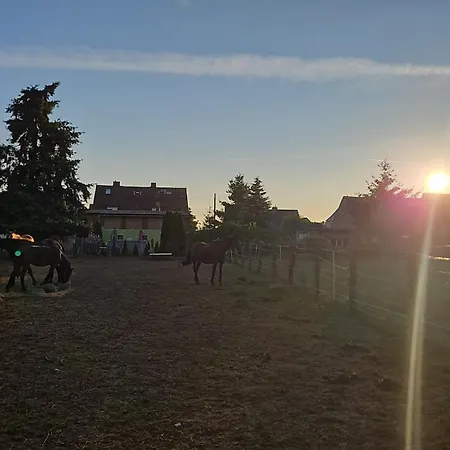 Ponyland Ringfurth Tangerhutte